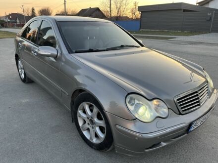 Мерседес Ц-Клас 2002 у Каменце-Подольском на Automoto.ua Сірий Мерседес Ц-Клас, об'ємом двигуна 2.6 л та пробігом 305 тис. км за 3850 $, фото 1 на Automoto.ua