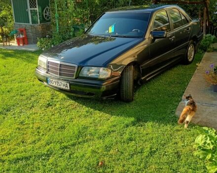 Синий Мерседес Ц-Класс, объемом двигателя 1.8 л и пробегом 286 тыс. км за 2400 $, фото 1 на Automoto.ua