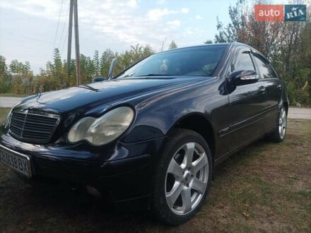 Мерседес Ц-Клас 2001 у Варве на Automoto.ua Синій Мерседес Ц-Клас, об'ємом двигуна 2 л та пробігом 276 тис. км за 5100 $, фото 1 на Automoto.ua