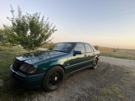 Мерседес Ц-Клас 1997 у Черкасах на Automoto.ua Зелений Мерседес Ц-Клас, об'ємом двигуна 1.8 л та пробігом 350 тис. км за 1900 $, фото 1 на Automoto.ua