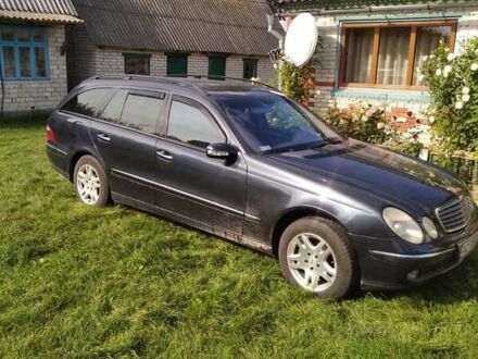 Мерседес E 200 2004 в Ковель на Automoto.ua Синий Мерседес E 200, объемом двигателя 1.8 л и пробегом 274 тыс. км за 6299 $, фото 1 на Automoto.ua
