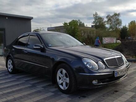 Мерседес E 240 2005 в Львове на Automoto.ua Черный Мерседес E 240, объемом двигателя 2.6 л и пробегом 250 тыс. км за 7200 $, фото 1 на Automoto.ua