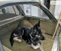 Белый Мерседес Е-Класс, объемом двигателя 0 л и пробегом 365 тыс. км за 1000 $, фото 17 на Automoto.ua