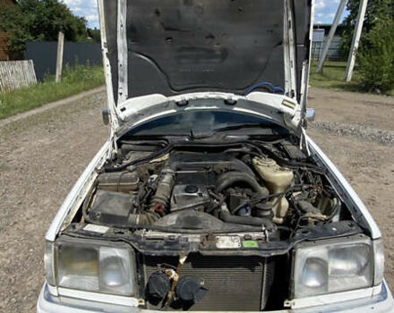 Мерседес Е-Класс 1994 в Сарнах на Automoto.ua Белый Мерседес Е-Класс, объемом двигателя 2.5 л и пробегом 500 тыс. км за 2400 $, фото 10 на Automoto.ua