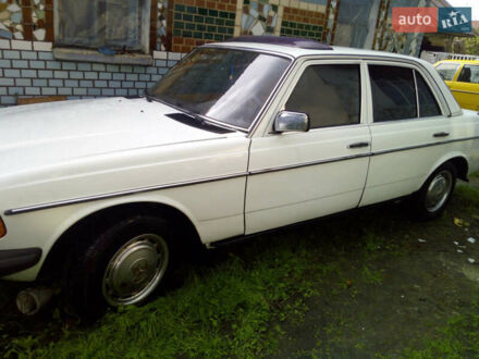 Мерседес Е-Класс 1981 в Славуте на Automoto.ua Белый Мерседес Е-Класс, объемом двигателя 2 л и пробегом 655 тыс. км за 1400 $, фото 1 на Automoto.ua