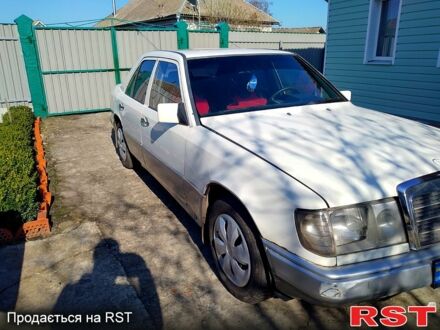 Мерседес Е-Клас 1986 у Конотопе на Automoto.ua Білий Мерседес Е-Клас, об'ємом двигуна 2.5 л та пробігом 500 тис. км за 1500 $, фото 1 на Automoto.ua