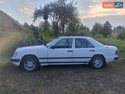 Мерседес Е-Класс 1988 в Лубнах на Automoto.ua Белый Мерседес Е-Класс, объемом двигателя 2.6 л и пробегом 200 тыс. км за 2800 $, фото 1 на Automoto.ua