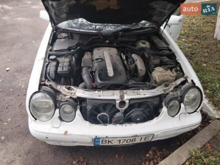 Мерседес Е-Класс 2001 в Здолбунове на Automoto.ua Белый Мерседес Е-Класс, объемом двигателя 3.2 л и пробегом 431 тыс. км за 2400 $, фото 1 на Automoto.ua