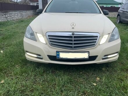 Бежевый Мерседес Е-Класс, объемом двигателя 2.2 л и пробегом 299 тыс. км за 8300 $, фото 1 на Automoto.ua