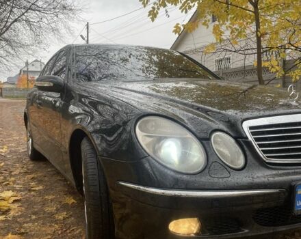 Мерседес Е-Клас 2005 у Прилуках на Automoto.ua Чорний Мерседес Е-Клас, об'ємом двигуна 1.8 л та пробігом 395 тис. км за 6499 $, фото 3 на Automoto.ua