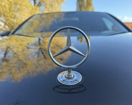 Мерседес Е-Класс 2006 в Чернигове на Automoto.ua Черный Мерседес Е-Класс, объемом двигателя 2.99 л и пробегом 355 тыс. км за 9299 $, фото 17 на Automoto.ua