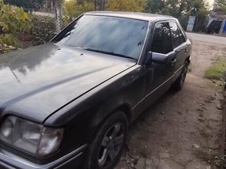 Мерседес Е-Клас 1992 у Кропивницькому (Кіровограді) на Automoto.ua Чорний Мерседес Е-Клас, об'ємом двигуна 2.3 л та пробігом 300 тис. км за 2700 $, фото 1 на Automoto.ua