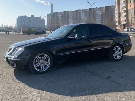 Мерседес Е-Класс 2002 в Черкассах на Automoto.ua Черный Мерседес Е-Класс, объемом двигателя 2.2 л и пробегом 320 тыс. км за 7500 $, фото 1 на Automoto.ua