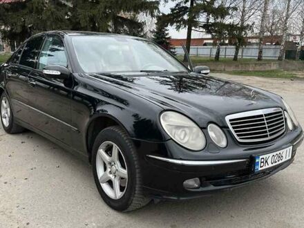 Мерседес Е-Класс 2004 в Березно на Automoto.ua Черный Мерседес Е-Класс, объемом двигателя 2 л и пробегом 362 тыс. км за 5500 $, фото 1 на Automoto.ua