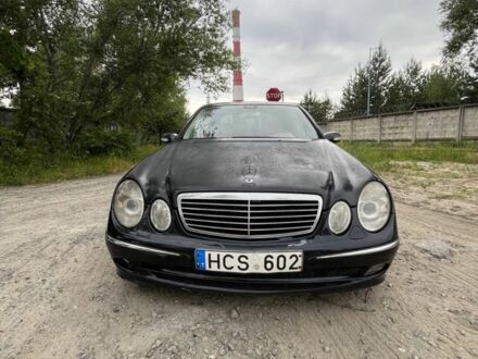 Мерседес Е-Класс 2004 в Киеве на Automoto.ua Черный Мерседес Е-Класс, объемом двигателя 3.2 л и пробегом 380 тыс. км за 2400 $, фото 1 на Automoto.ua