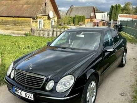 Мерседес Е-Клас 2004 у Павлограде на Automoto.ua Чорний Мерседес Е-Клас, об'ємом двигуна 0 л та пробігом 310 тис. км за 2300 $, фото 1 на Automoto.ua