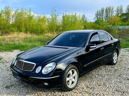 Мерседес Е-Класс 2004 в Тернополе на Automoto.ua Черный Мерседес Е-Класс, объемом двигателя 2.6 л и пробегом 278 тыс. км за 6500 $, фото 1 на Automoto.ua