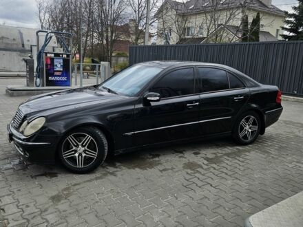 Мерседес Е-Класс 2004 в Киеве на Automoto.ua Черный Мерседес Е-Класс, объемом двигателя 3.2 л и пробегом 320 тыс. км за 6400 $, фото 1 на Automoto.ua