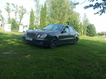 Мерседес Е-Класс 2004 в Василькове на Automoto.ua Черный Мерседес Е-Класс, объемом двигателя 2.2 л и пробегом 450 тыс. км за 3400 $, фото 1 на Automoto.ua