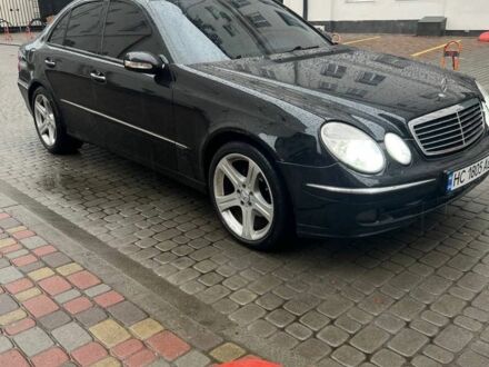 Мерседес Е-Класс 2004 в Львове на Automoto.ua Черный Мерседес Е-Класс, объемом двигателя 2.7 л и пробегом 5 тыс. км за 8000 $, фото 1 на Automoto.ua