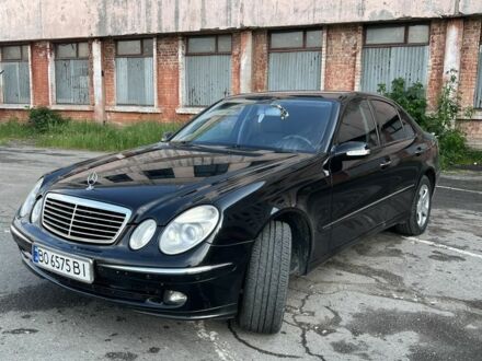 Мерседес Е-Класс 2006 в Збараже на Automoto.ua Черный Мерседес Е-Класс, объемом двигателя 3 л и пробегом 294 тыс. км за 8200 $, фото 1 на Automoto.ua