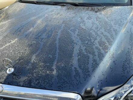 Черный Мерседес Е-Класс, объемом двигателя 2 л и пробегом 100 тыс. км за 18400 $, фото 1 на Automoto.ua