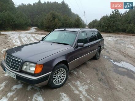 Мерседес Е-Класс 1995 в Славуте на Automoto.ua Фиолетовый Мерседес Е-Класс, объемом двигателя 2.2 л и пробегом 515 тыс. км за 2200 $, фото 1 на Automoto.ua