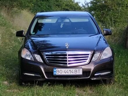Мерседес Е-Класс 2012 в Черткове на Automoto.ua Коричневый Мерседес Е-Класс, объемом двигателя 2.1 л и пробегом 281 тыс. км за 12731 $, фото 1 на Automoto.ua
