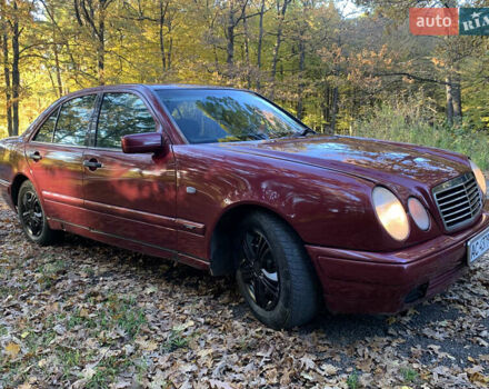 Мерседес Е-Класс 1996 в Киверцы на Automoto.ua Красный Мерседес Е-Класс, объемом двигателя 2 л и пробегом 370 тыс. км за 2600 $, фото 6 на Automoto.ua