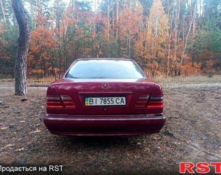 Мерседес Е-Класс 2001 в Котельве на Automoto.ua Красный Мерседес Е-Класс, объемом двигателя 2.6 л и пробегом 0 тыс. км за 3400 $, фото 3 на Automoto.ua