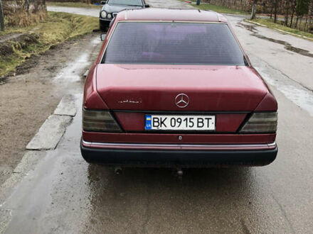 Мерседес Е-Клас 1993 у Рівному на Automoto.ua Червоний Мерседес Е-Клас, об'ємом двигуна 2.5 л та пробігом 500 тис. км за 2000 $, фото 1 на Automoto.ua