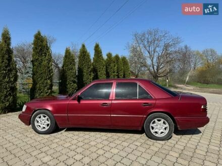 Мерседес Е-Класс 1994 в Косове на Automoto.ua Красный Мерседес Е-Класс, объемом двигателя 2.5 л и пробегом 480 тыс. км за 2700 $, фото 1 на Automoto.ua