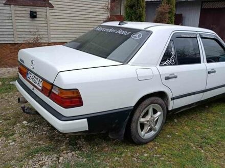 Мерседес Е-Клас 1989 у Чернівцях на Automoto.ua Мерседес Е-Клас, об'ємом двигуна 2 л та пробігом 200 тис. км за 4700 $, фото 1 на Automoto.ua