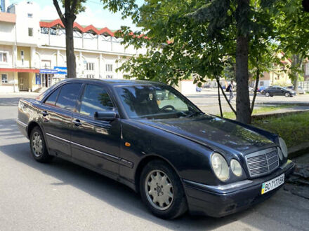 Мерседес Е-Класс 1998 в Тернополе на Automoto.ua Мерседес Е-Класс, объемом двигателя 2.5 л и пробегом 218 тыс. км за 3300 $, фото 1 на Automoto.ua