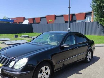 Мерседес Е-Класс 2004 в Чернигове на Automoto.ua Мерседес Е-Класс, объемом двигателя 0 л и пробегом 336 тыс. км за 6200 $, фото 1 на Automoto.ua