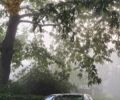 Жовтий Мерседес Е-Клас, об'ємом двигуна 3.2 л та пробігом 411 тис. км за 7200 $, фото 1 на Automoto.ua