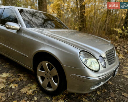 Мерседес Е-Клас 2004 у Тернополі на Automoto.ua Сірий Мерседес Е-Клас, об'ємом двигуна 2.2 л та пробігом 333 тис. км за 5750 $, фото 7 на Automoto.ua
