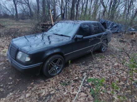 Мерседес Е-Класс 1988 в Полтаве на Automoto.ua Серый Мерседес Е-Класс, объемом двигателя 0 л и пробегом 200 тыс. км за 3381 $, фото 1 на Automoto.ua