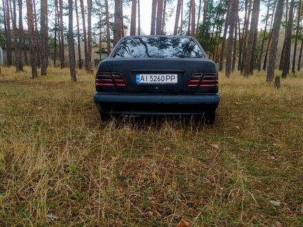 Мерседес Е-Класс 1995 в Кропивницком (Кировограде) на Automoto.ua Серый Мерседес Е-Класс, объемом двигателя 2.3 л и пробегом 350 тыс. км за 2500 $, фото 1 на Automoto.ua