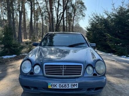 Серый Мерседес Е-Класс, объемом двигателя 3.2 л и пробегом 320 тыс. км за 2599 $, фото 1 на Automoto.ua