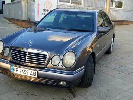 Мерседес Е-Класс 1999 в Запорожье на Automoto.ua Серый Мерседес Е-Класс, объемом двигателя 4.3 л и пробегом 285 тыс. км за 5000 $, фото 1 на Automoto.ua