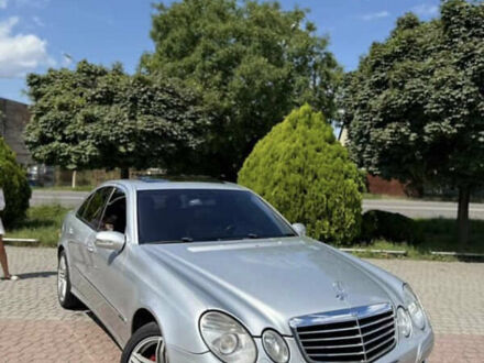Мерседес Е-Класс 2002 в Ужгороде на Automoto.ua Серый Мерседес Е-Класс, объемом двигателя 2.2 л и пробегом 500 тыс. км за 5800 $, фото 1 на Automoto.ua