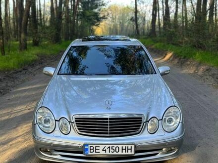 Мерседес Е-Клас 2002 у Вознесенске на Automoto.ua Сірий Мерседес Е-Клас, об'ємом двигуна 3.2 л та пробігом 320 тис. км за 7000 $, фото 1 на Automoto.ua