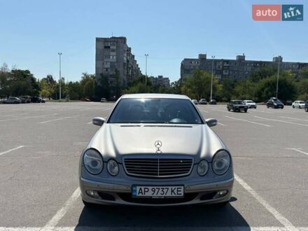 Мерседес Е-Класс 2003 в Запорожье на Automoto.ua Серый Мерседес Е-Класс, объемом двигателя 2.6 л и пробегом 320 тыс. км за 6000 $, фото 1 на Automoto.ua
