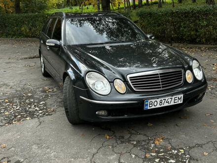 Мерседес Е-Клас 2003 у Тернополі на Automoto.ua Сірий Мерседес Е-Клас, об'ємом двигуна 3.2 л та пробігом 266 тис. км за 6699 $, фото 1 на Automoto.ua
