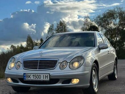 Мерседес Е-Класс 2004 в Ровно на Automoto.ua Серый Мерседес Е-Класс, объемом двигателя 2.2 л и пробегом 318 тыс. км за 9200 $, фото 1 на Automoto.ua