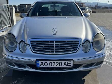 Мерседес Е-Класс 2005 в Вышково на Automoto.ua Серый Мерседес Е-Класс, объемом двигателя 1.8 л и пробегом 430 тыс. км за 7000 $, фото 1 на Automoto.ua
