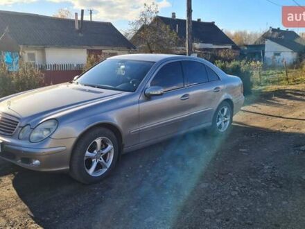 Мерседес Е-Класс 2006 в Калуше на Automoto.ua Серый Мерседес Е-Класс, объемом двигателя 2.15 л и пробегом 460 тыс. км за 7500 $, фото 1 на Automoto.ua