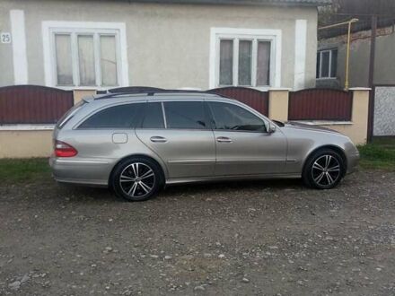 Мерседес Е-Клас 2008 у Хусте на Automoto.ua Сірий Мерседес Е-Клас, об'ємом двигуна 2.99 л та пробігом 306 тис. км за 10500 $, фото 1 на Automoto.ua