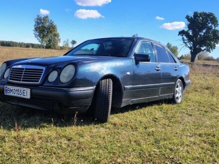 Мерседес Е-Клас 1996 у Шостке на Automoto.ua Синій Мерседес Е-Клас, об'ємом двигуна 2 л та пробігом 520 тис. км за 3100 $, фото 1 на Automoto.ua